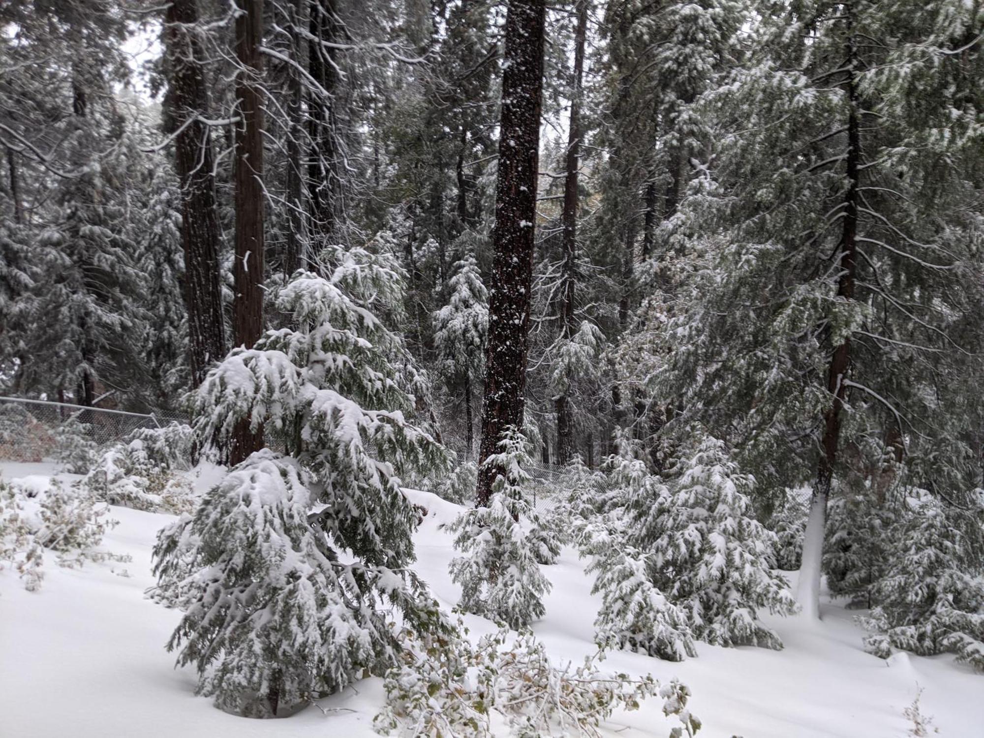 “The Grey Haven” - Secluded Home In The Woods Lake Arrowhead Eksteriør billede